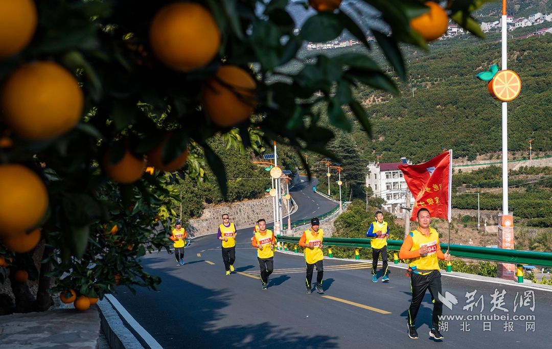 参加健康跑的参赛选手 郑家裕 摄_副本.jpg.jpg