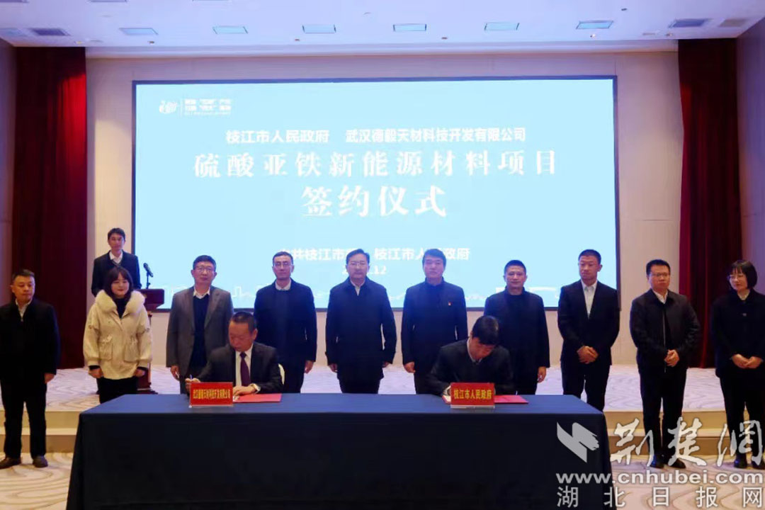 枝江市人民政府与武汉德毅天材科技开发有限公司签约现场.jpg