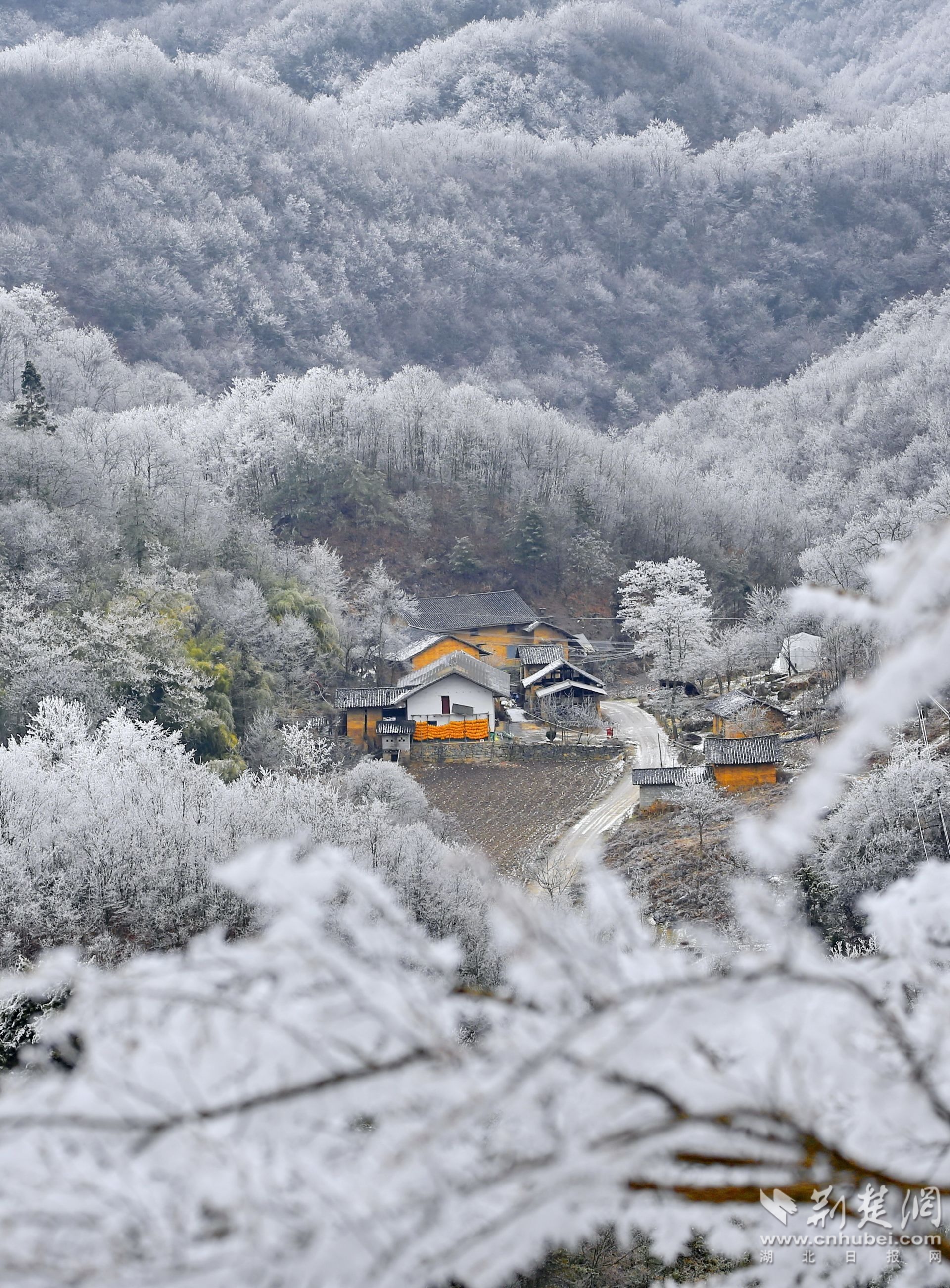 兴山雪 景 (9).jpg.jpg