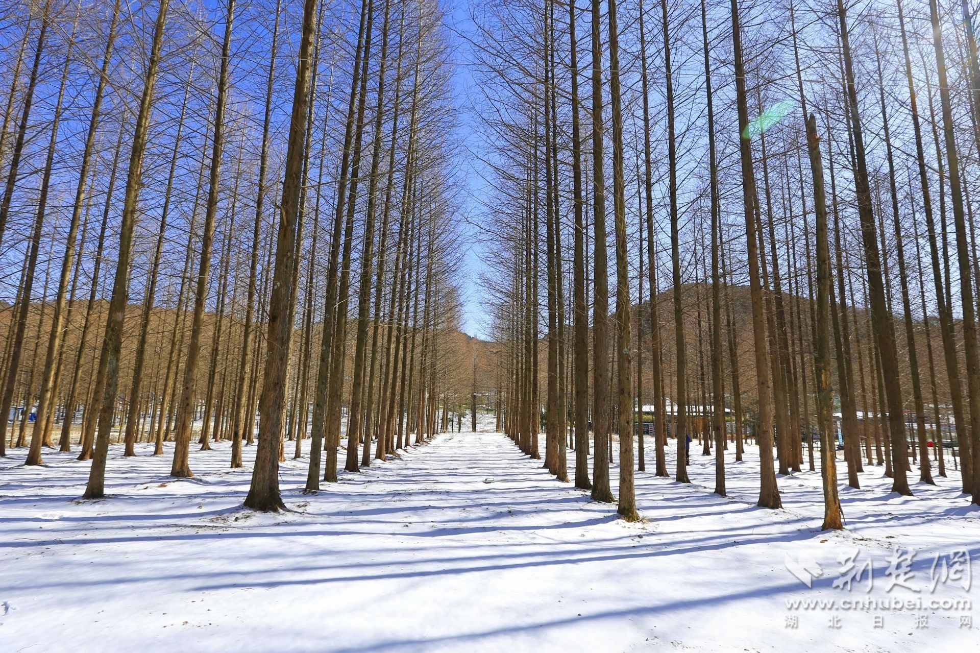 兴山雪 景 (5).JPG.JPG