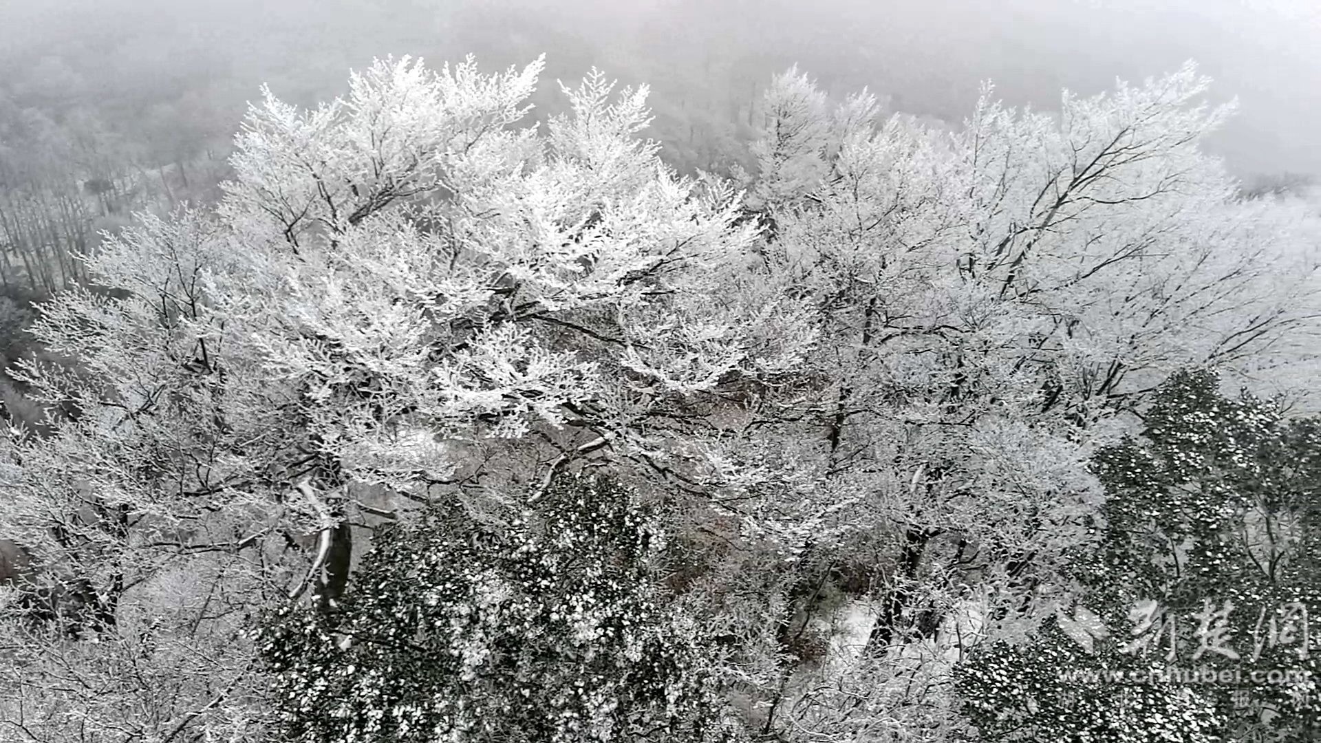 兴山雪 景 (7).jpg.jpg