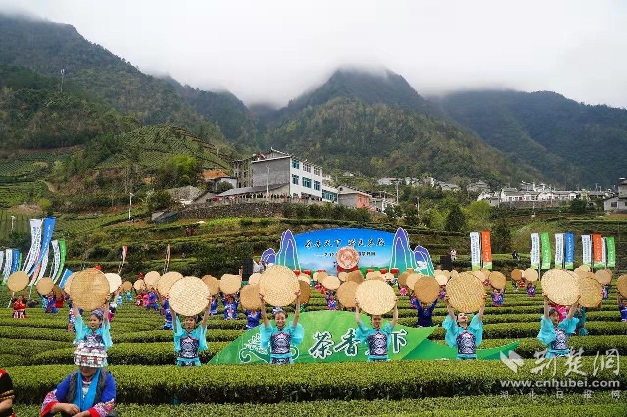 微信图片_20220320151520.jpg.jpg