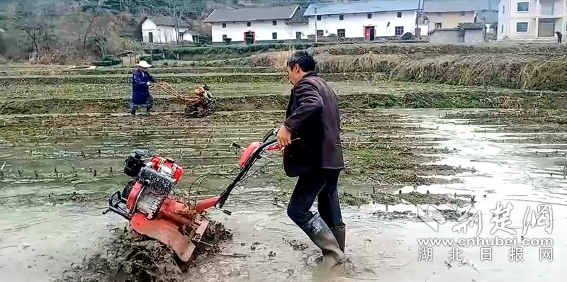 微信图片_20220325202825.png.png