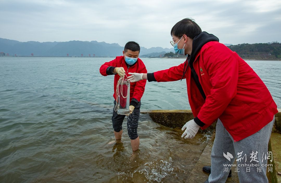 3月1日，湖北省宜昌市秭归县环境监测部门对长江三峡工程大坝坝前水质进行取样监测。魏启扬 摄 (1)_副本.jpg.jpg