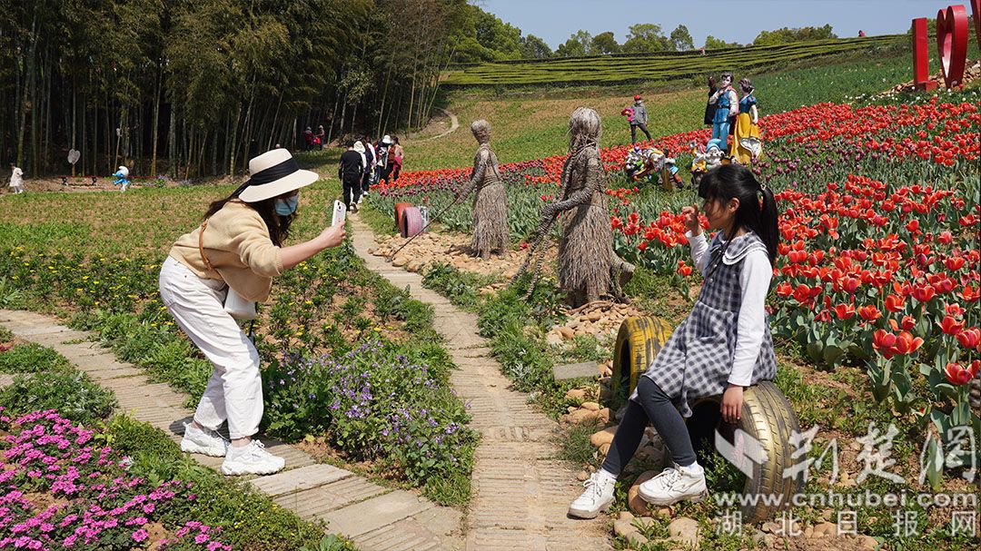 游客在郁金香花海拍照打卡。唐姝亚 摄.JPG.JPG