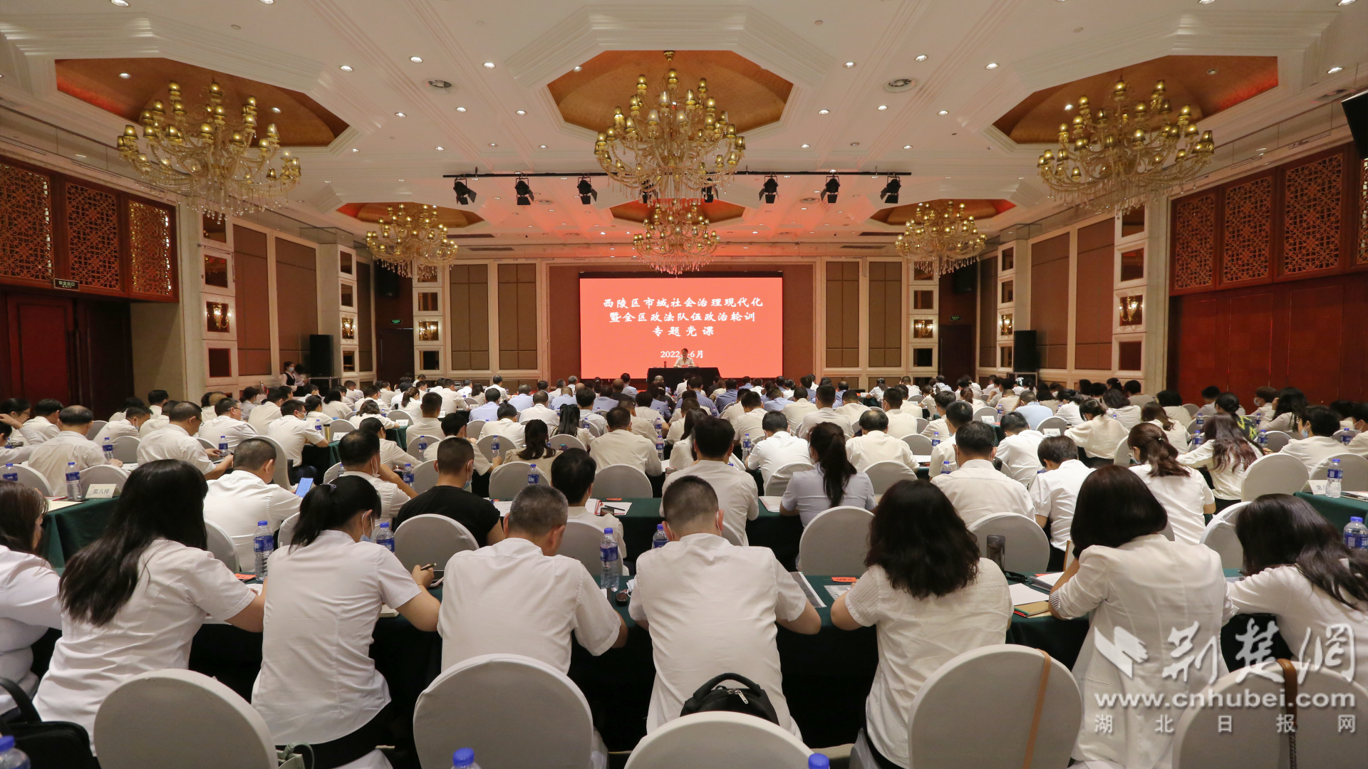 图片2.png.png