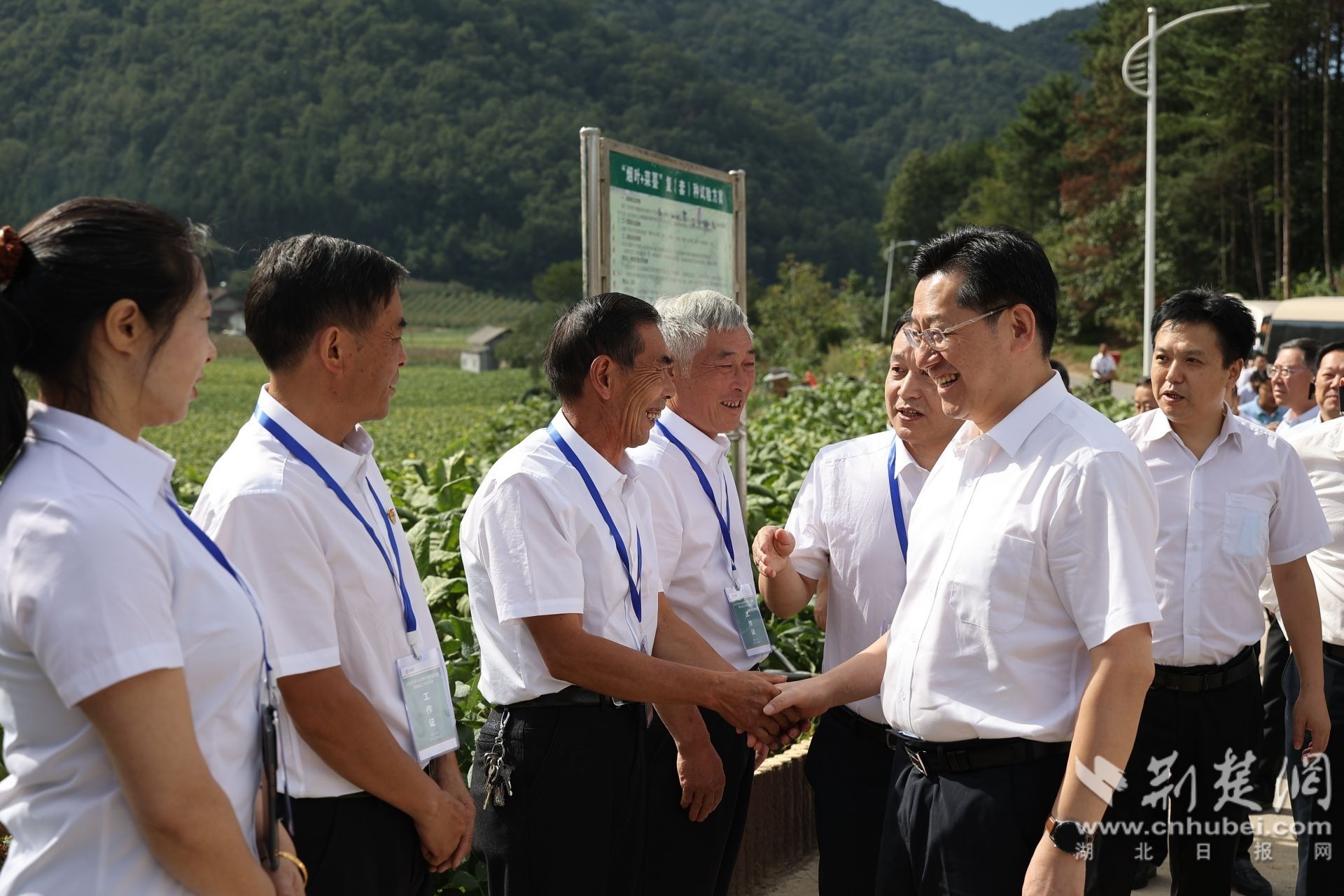 在兴山县榛子乡和平村烟袋包烘烤工场，顾厚武与合作社员工亲切交谈1.JPG.JPG