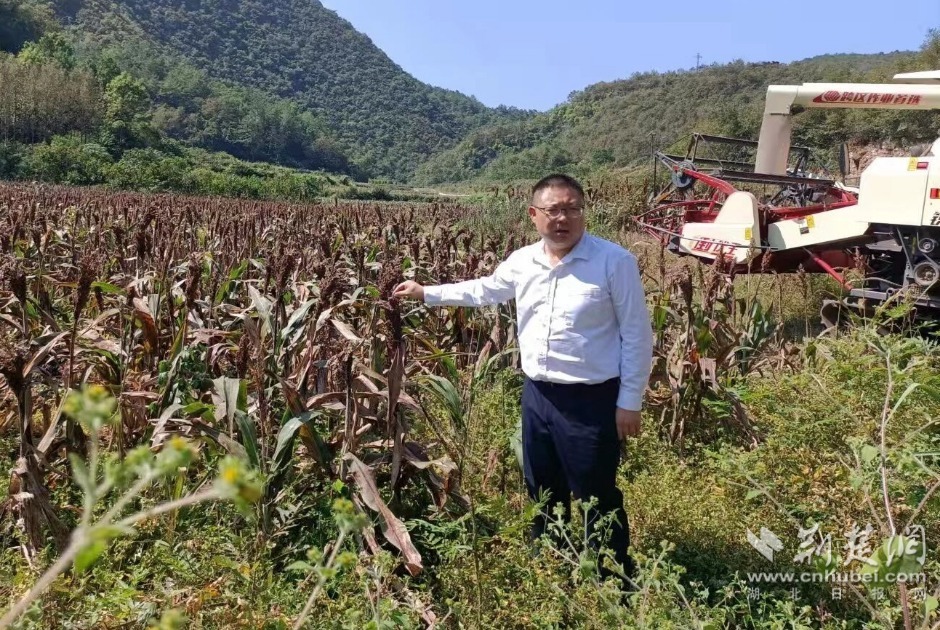微信图片_20221026172341.jpg.jpg