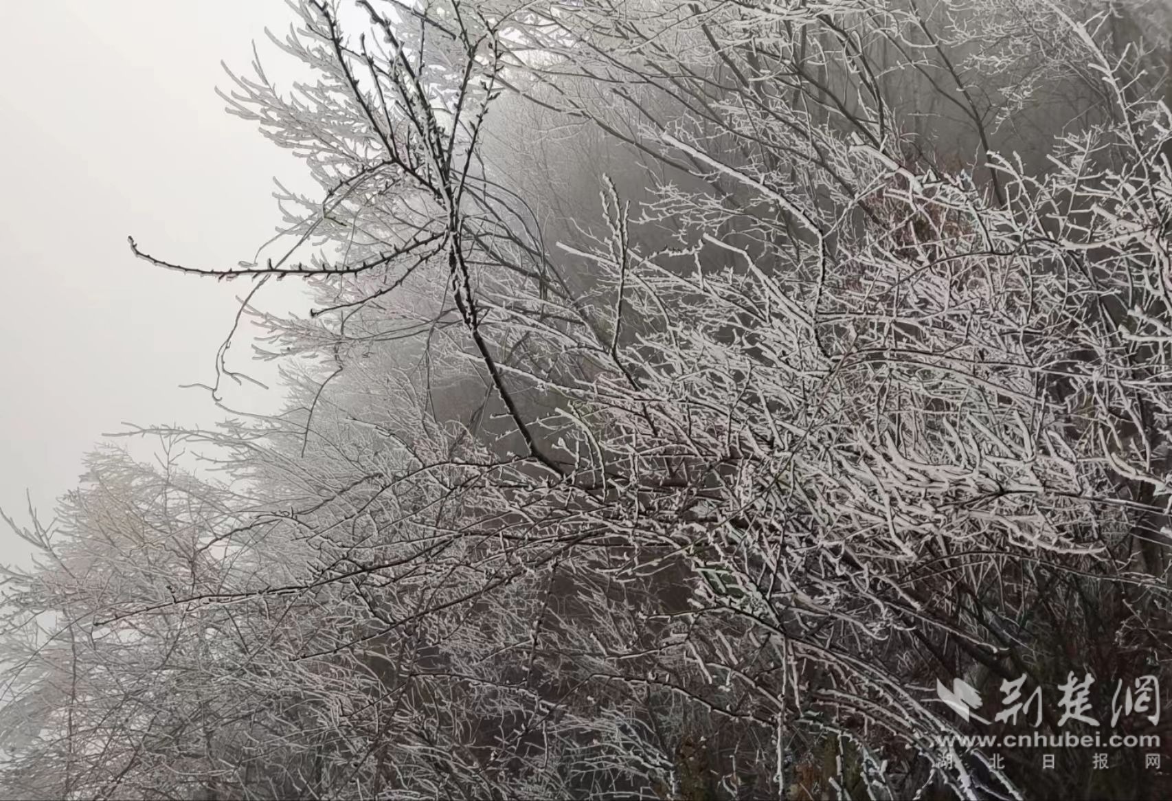 秭归县屈原镇九岭头雪景.jpg.jpg