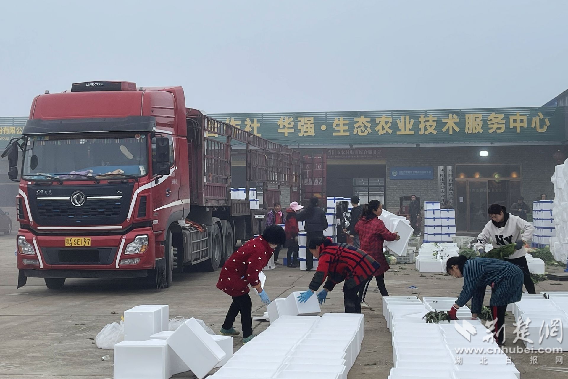 微信图片_20221201184926.jpg.jpg