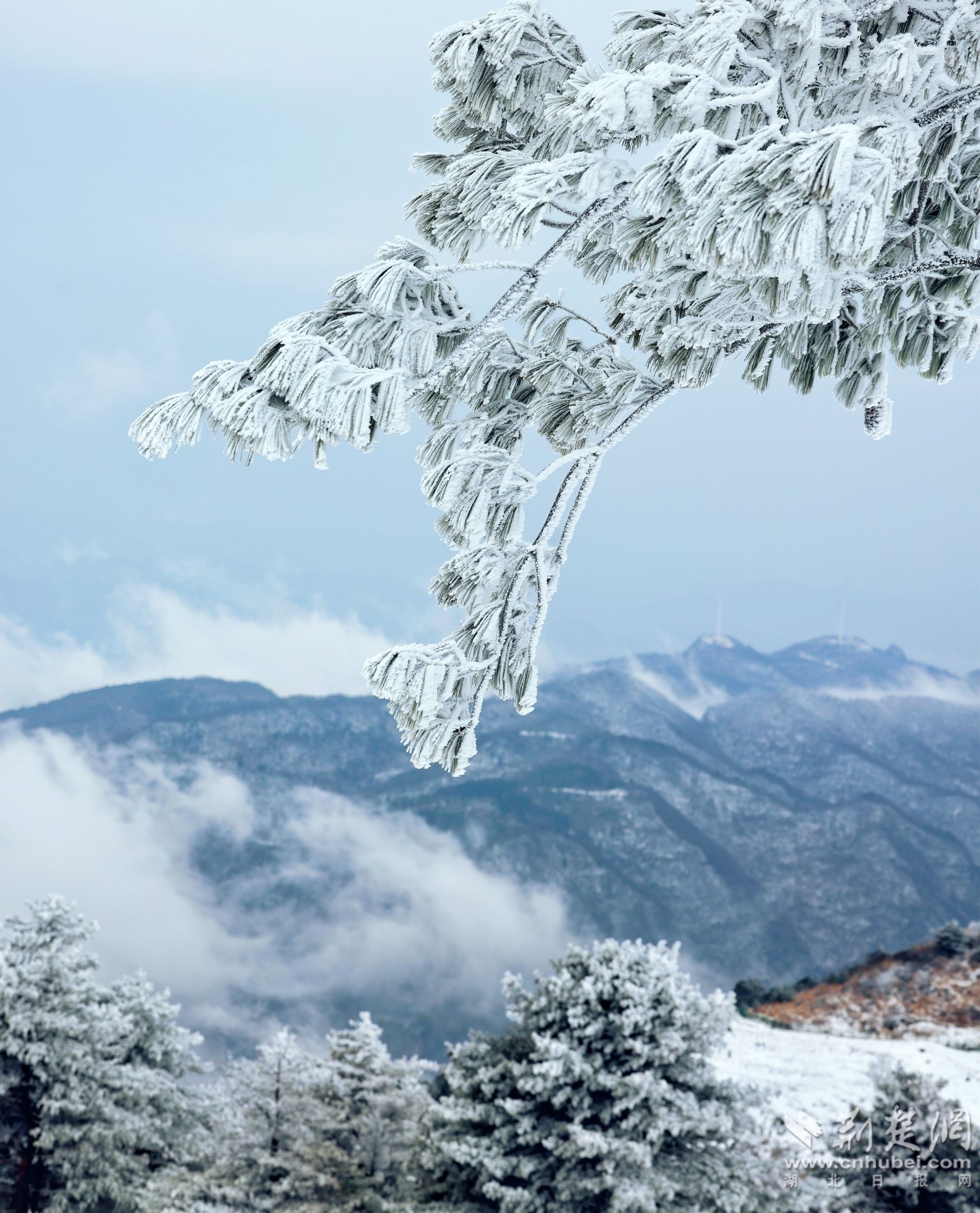 秦先寿 摄 (10).jpg.jpg