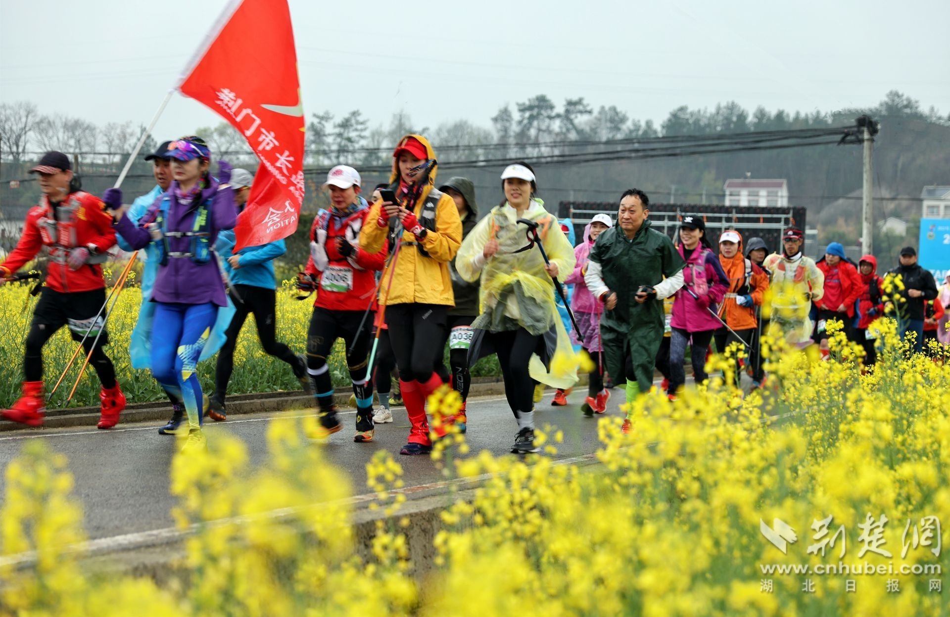 花田起跑 (2).jpg.jpg