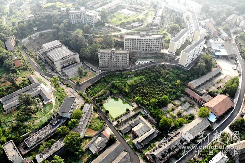 238厂1-2 鸟瞰图.JPG.JPG