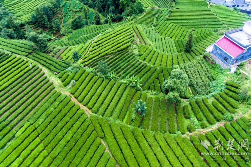 09c26dc9d86fa1045e49b2c87bb2997b_1920X1220_20230414144141