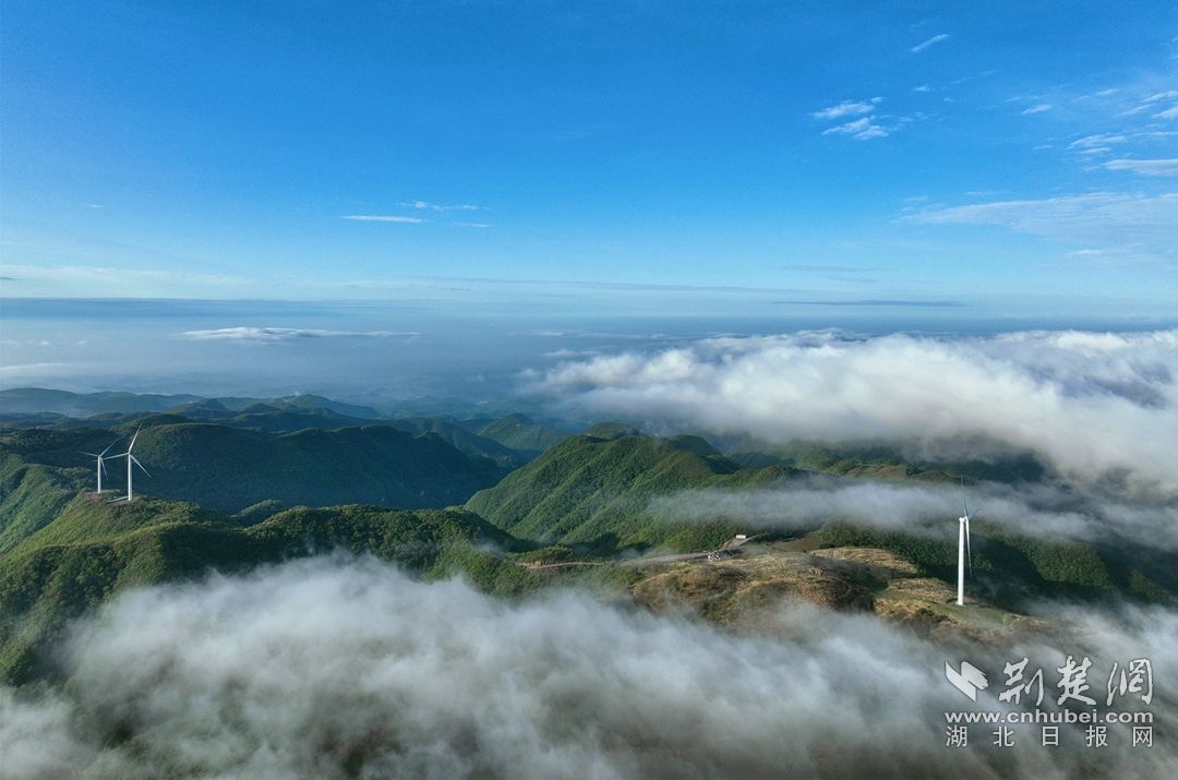 2023.4.25百里荒云海   (8)_副本.jpg.jpg
