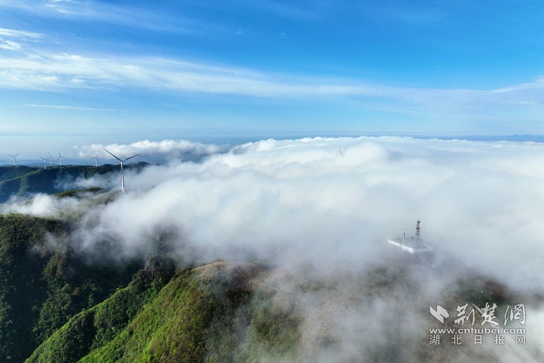 2023.4.25百里荒云海   (11)_副本.jpg.jpg