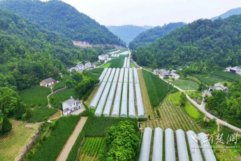 c7f4f322245d1e4a6e8ee0fc99a040b2_800X533_20230628175345