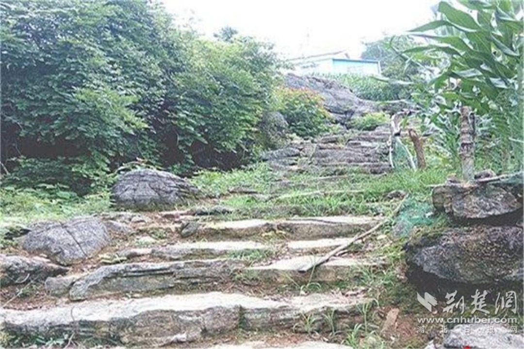 宜都境内的宜红古茶道 (2).jpg