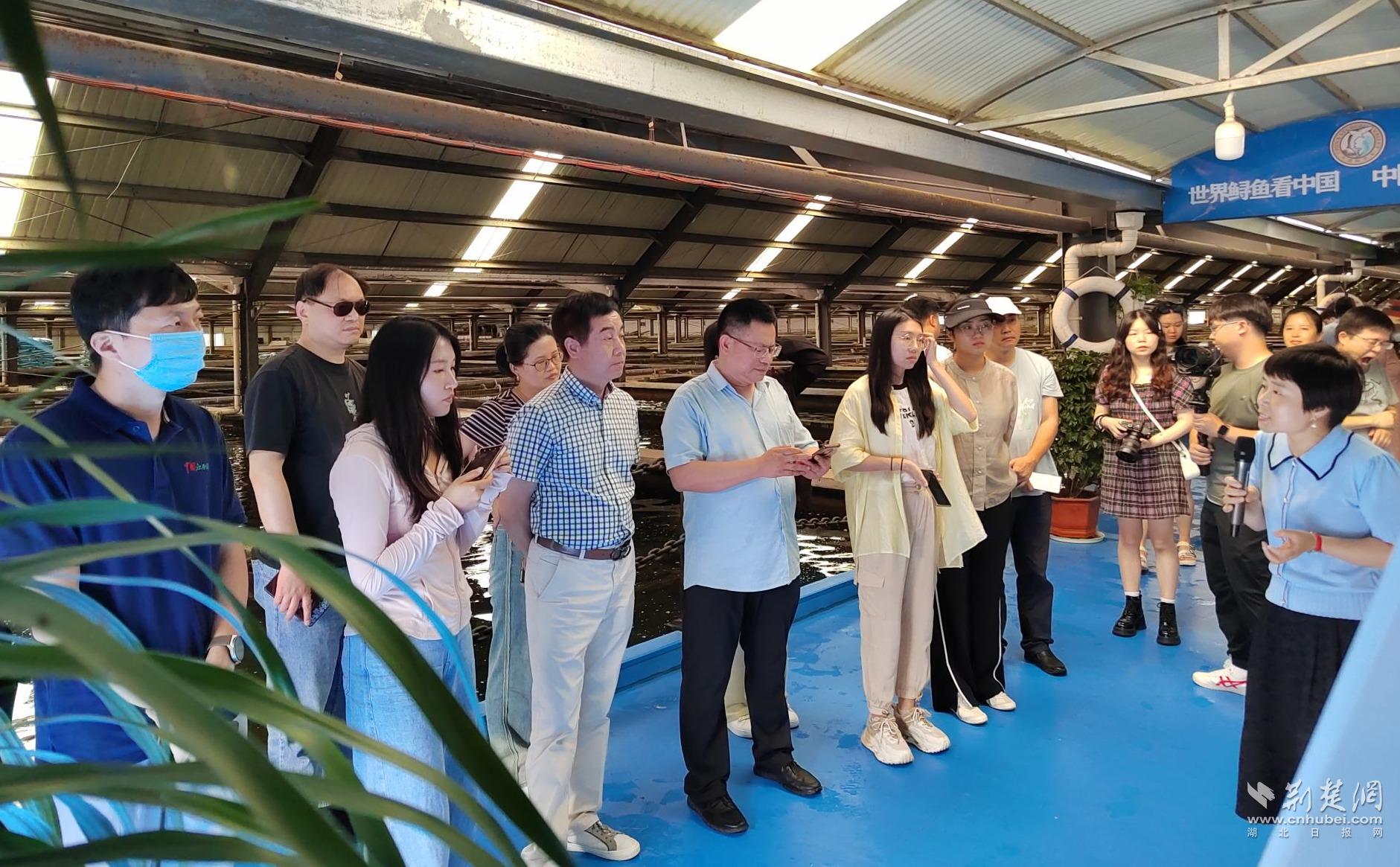 240c5cb1cbf7adbe27b0f31f42ae06b2_1881X1165_20230620100611