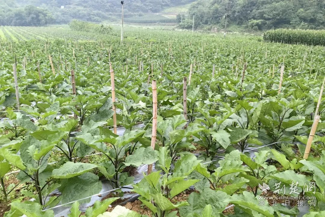 640 (2)_副本.jpg.jpg