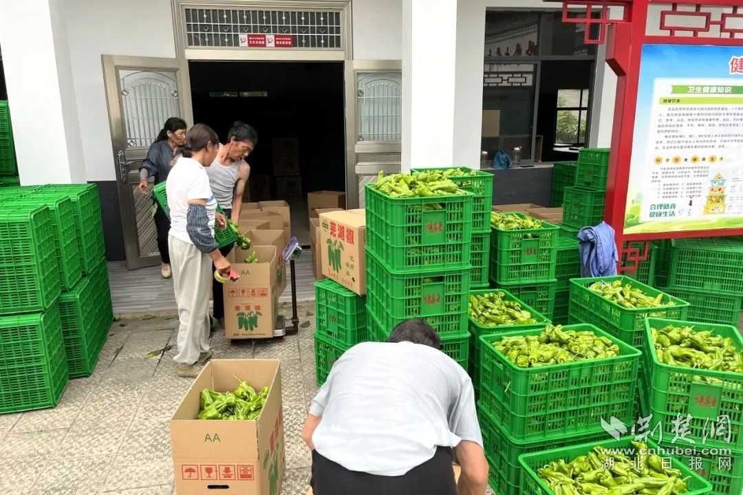 640 (5)_副本.jpg.jpg