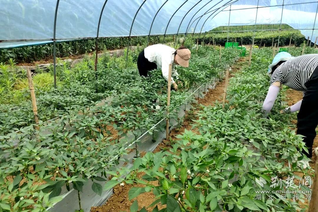 640 (4)_副本.jpg.jpg