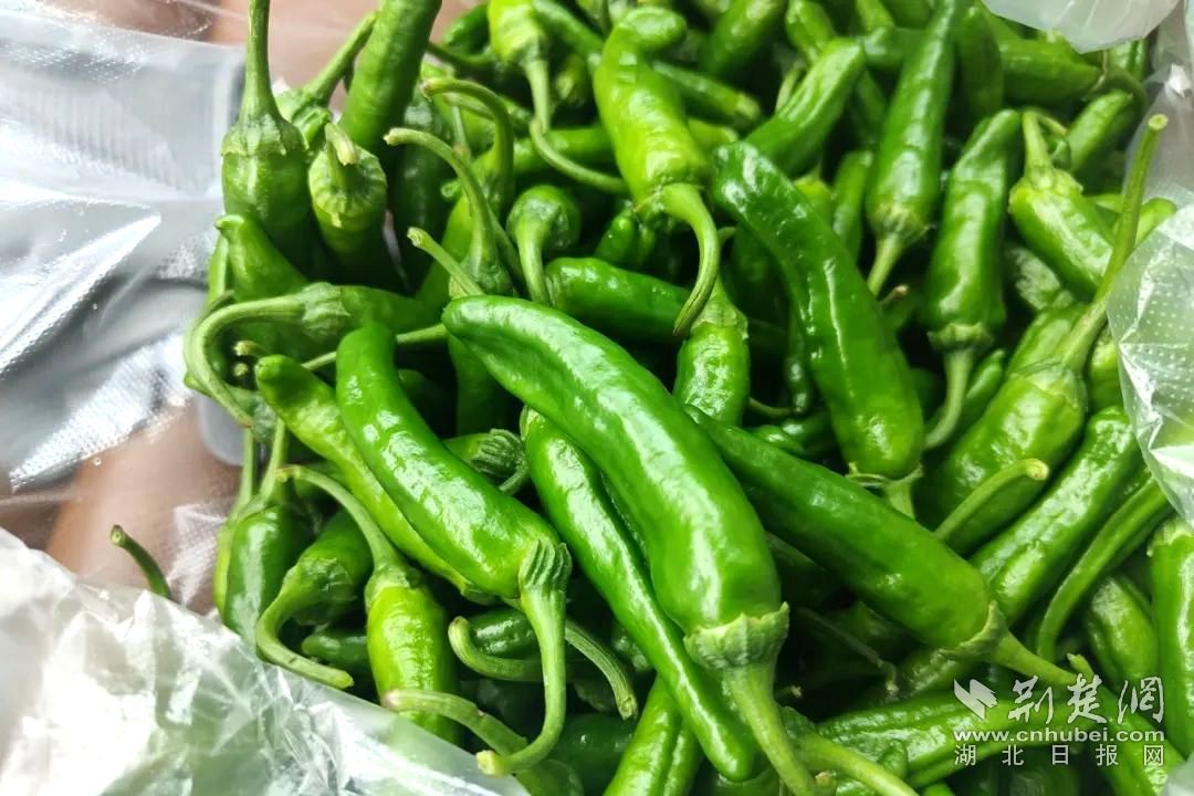 640 (9)_副本.jpg.jpg