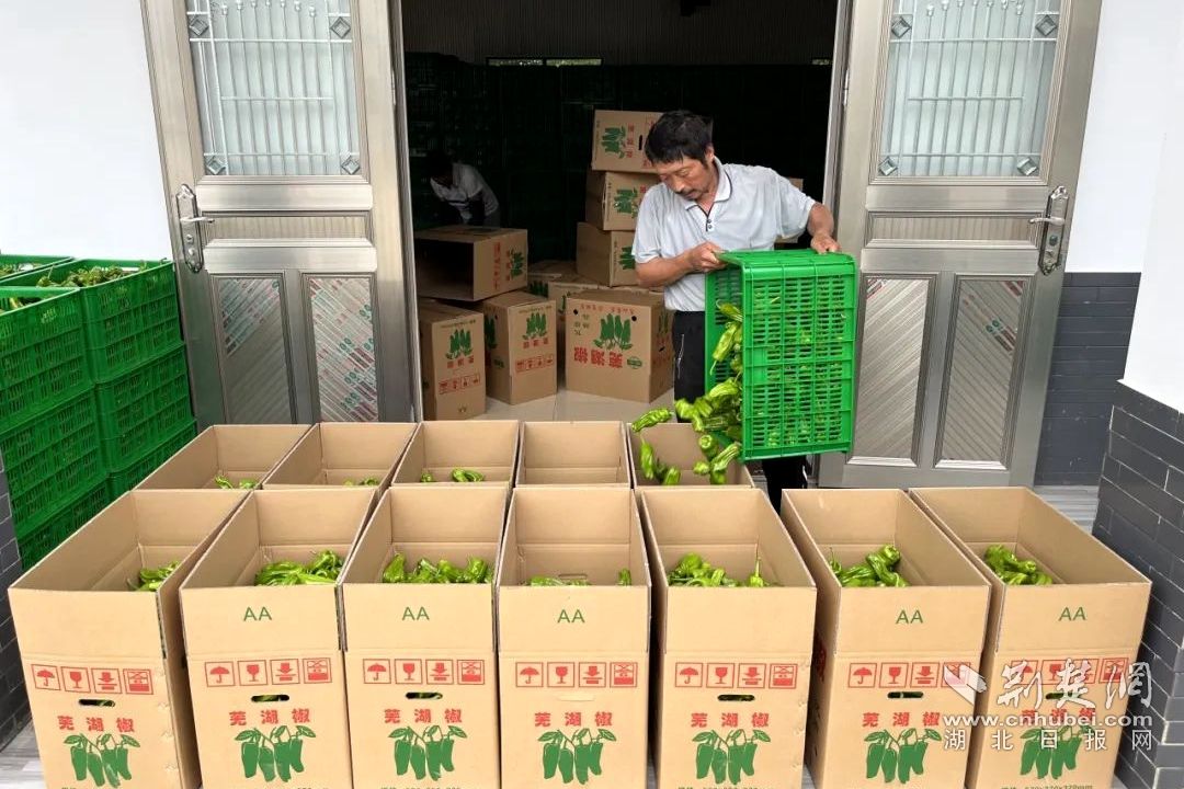 640 (6)_副本.jpg.jpg