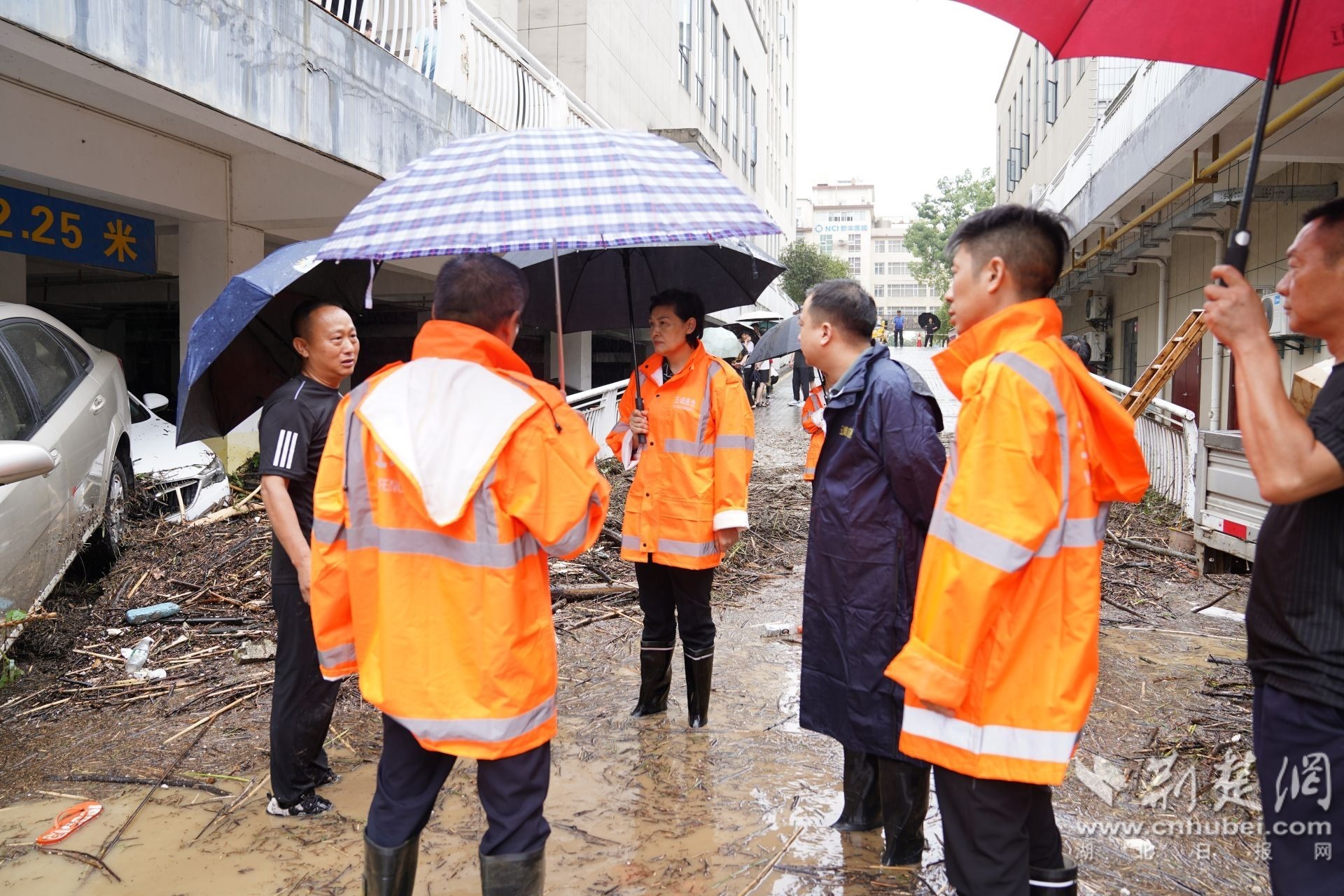 县委书记李伦华在灾害点查看受灾情况（张徐之 摄）.jpg.jpg
