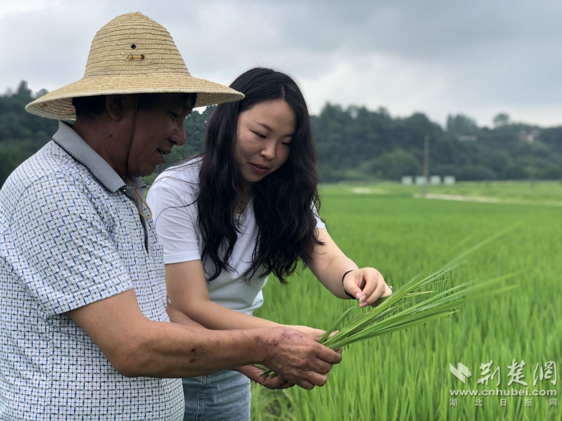 517885045be622fa2bbf0288452e58b3_1920X1440_20230804213524