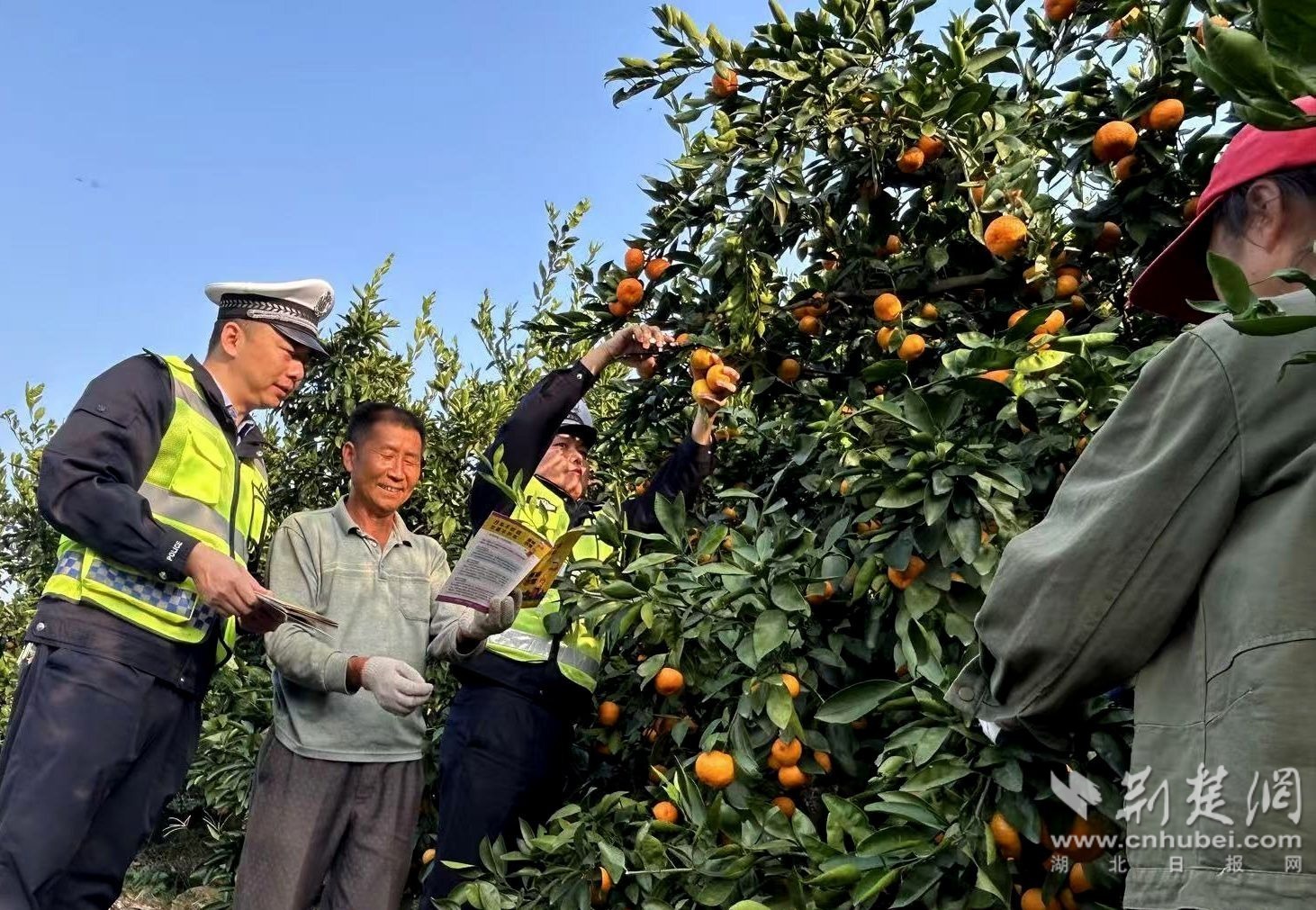 “挎包警务”护航远安洋坪“甜蜜经济”