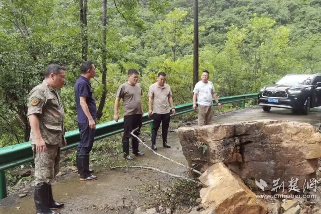 仁和坪镇党员干部现场排险.jpg.jpg
