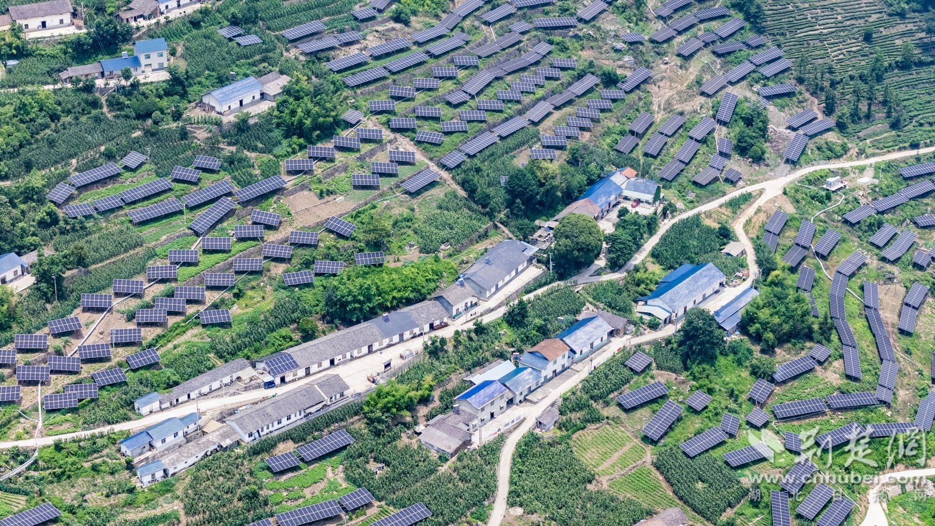 2025年6月24日,在湖北省宜昌市秭归县九畹溪镇穿心店村,光伏发电设施与茶园、村落相映成景,构成一幅和谐美丽的乡村画卷。彭强摄