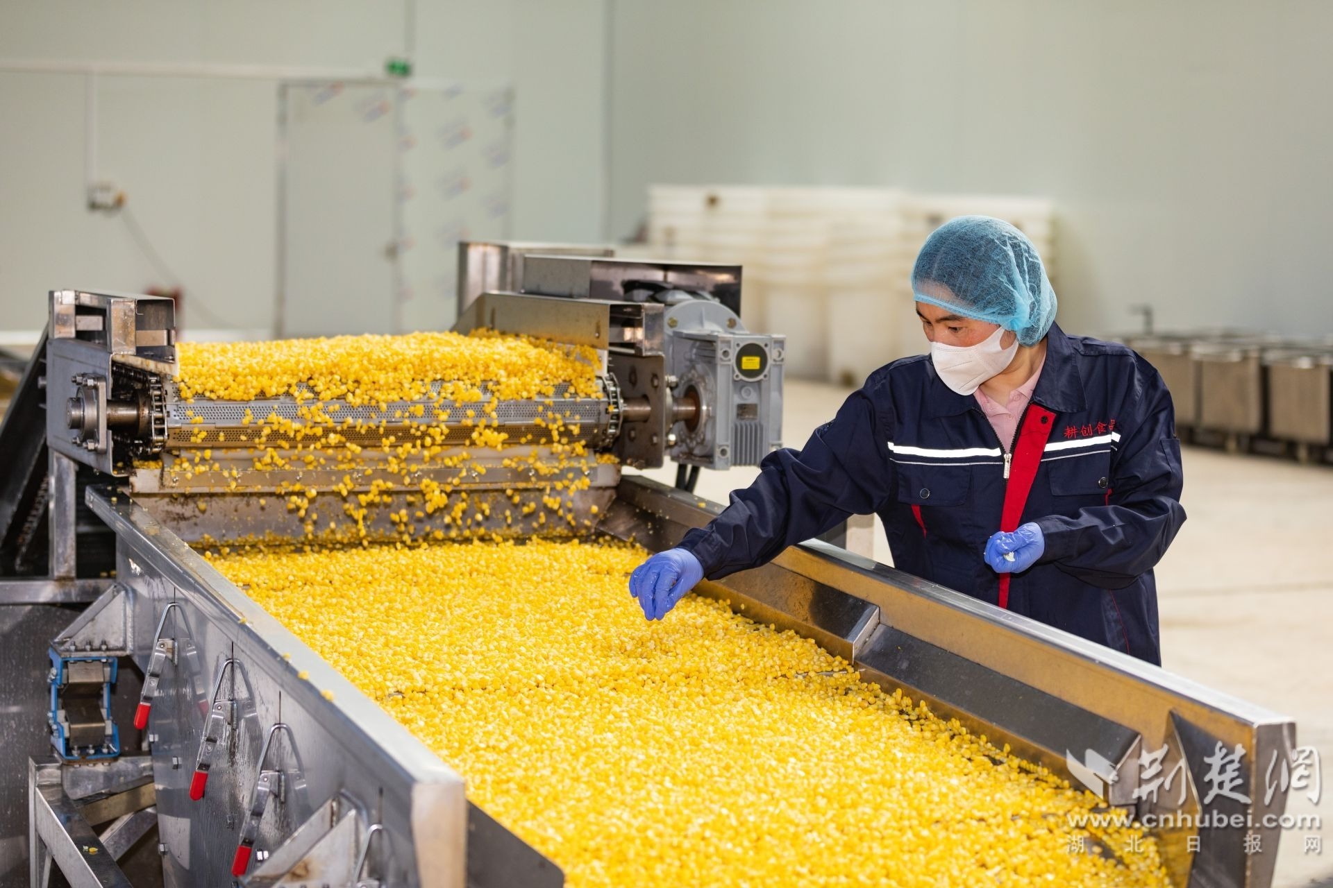 2025年7月16日，在湖北耕创农产品供应链有限公司加工厂房内，工人正在查验产品。.jpg.jpg