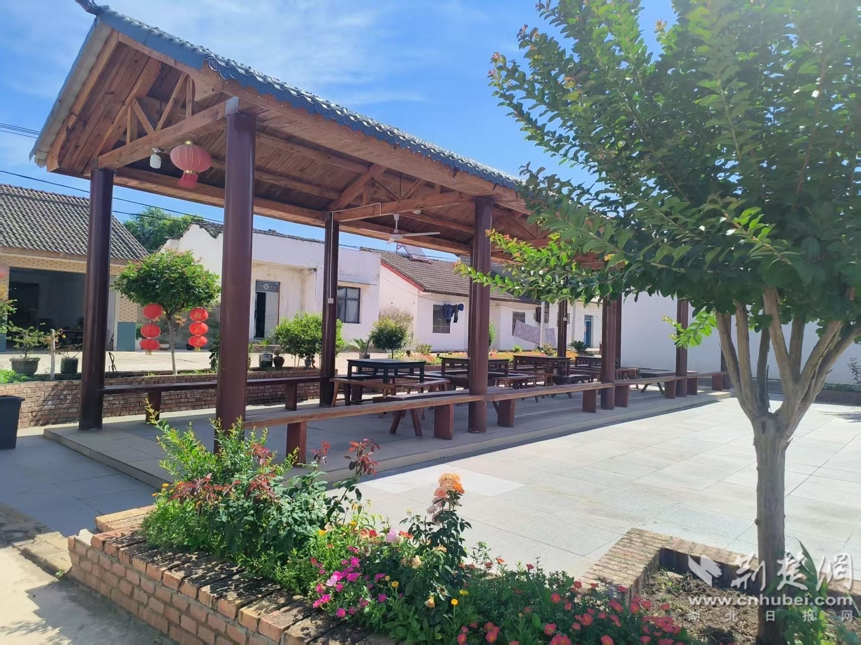 改造后的文化长廊 向冰钰摄.jpg.jpg