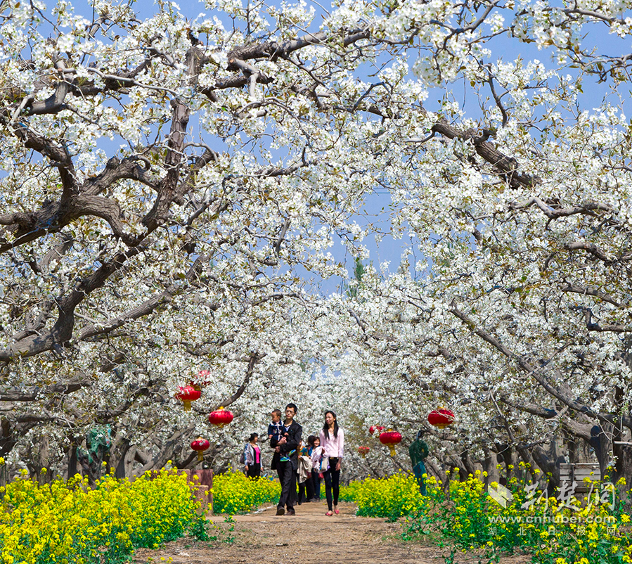 6df9a83b8844ef8e0dc8760339198d2d_899X802_20251014091537