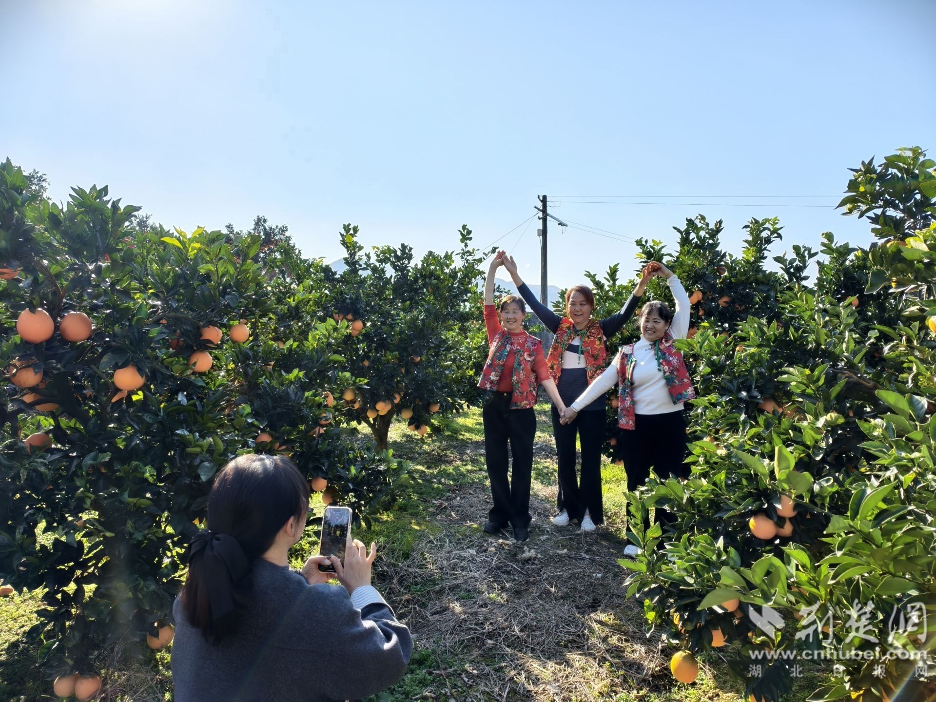 宜昌市秭归县两河口镇土珠庙村,“银发舞团”正在拍摄短视频。 邓爽 摄 (2).jpg.jpg