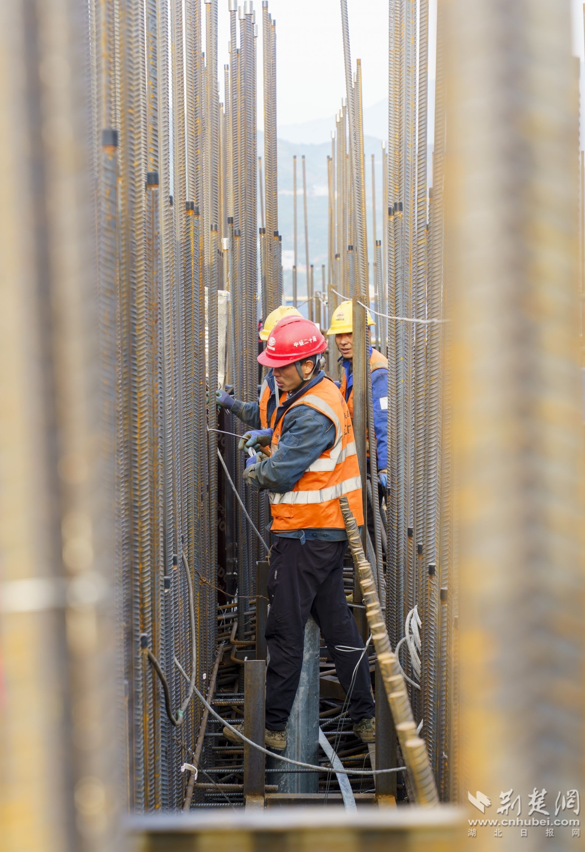 2025年11月26日,湖北省宜昌市秭归县,房五高速橘颂特大桥建设现场,工人架设桥墩钢筋 (2).JPG.JPG