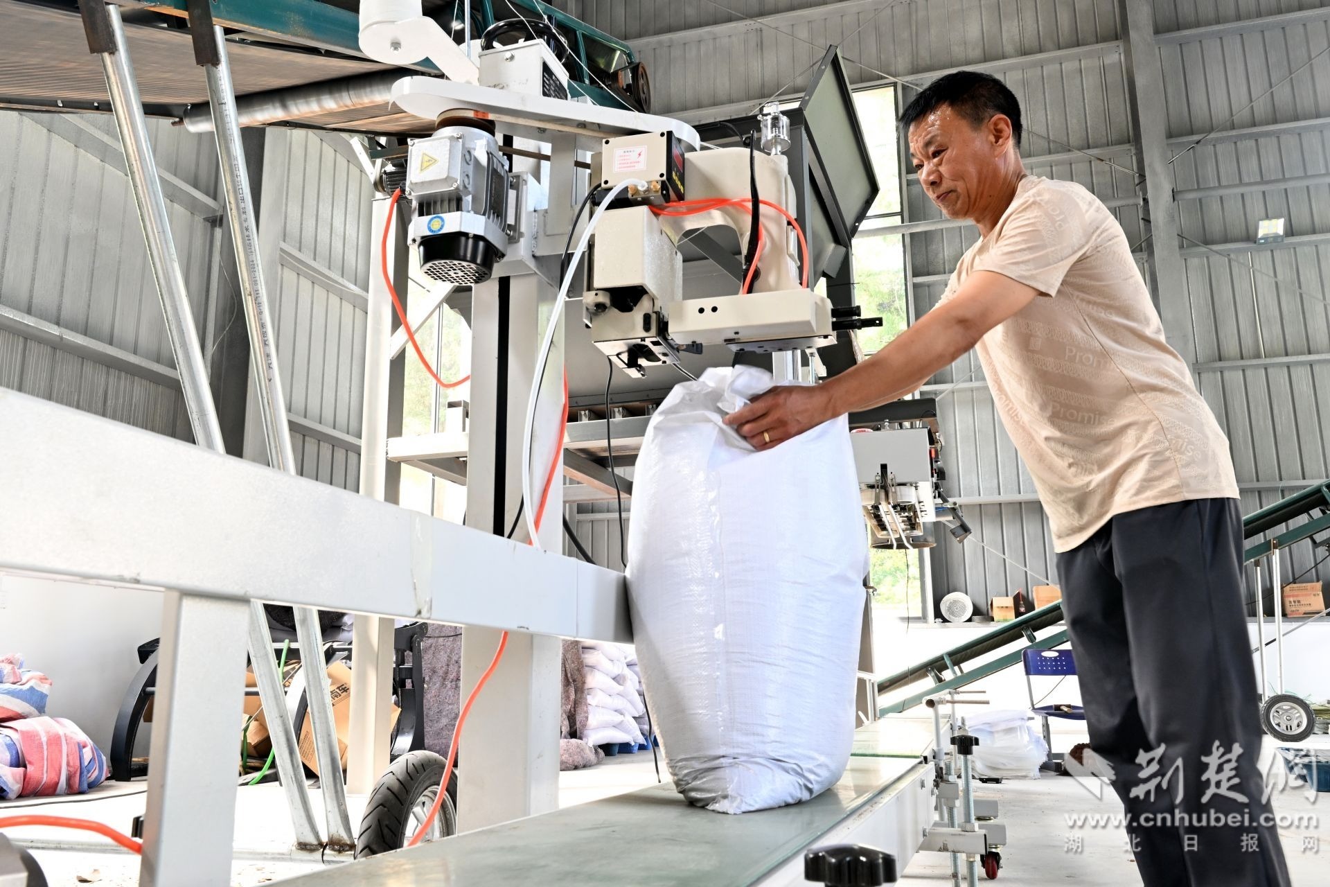 三板桥村小微创业园内绿华（湖北）生物循环科技有限公司正在进行饲料加工（张圣龙 摄）.JPG.JPG