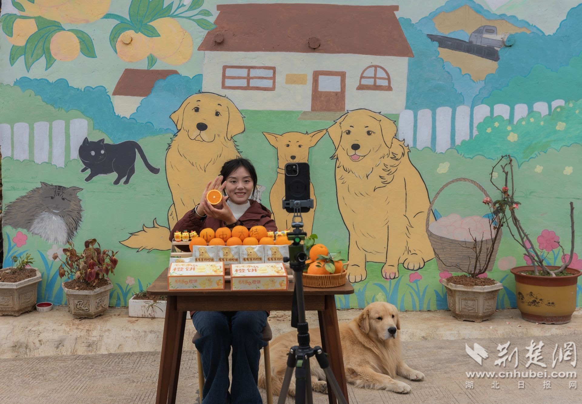 从“毛毛果”到联名饼干