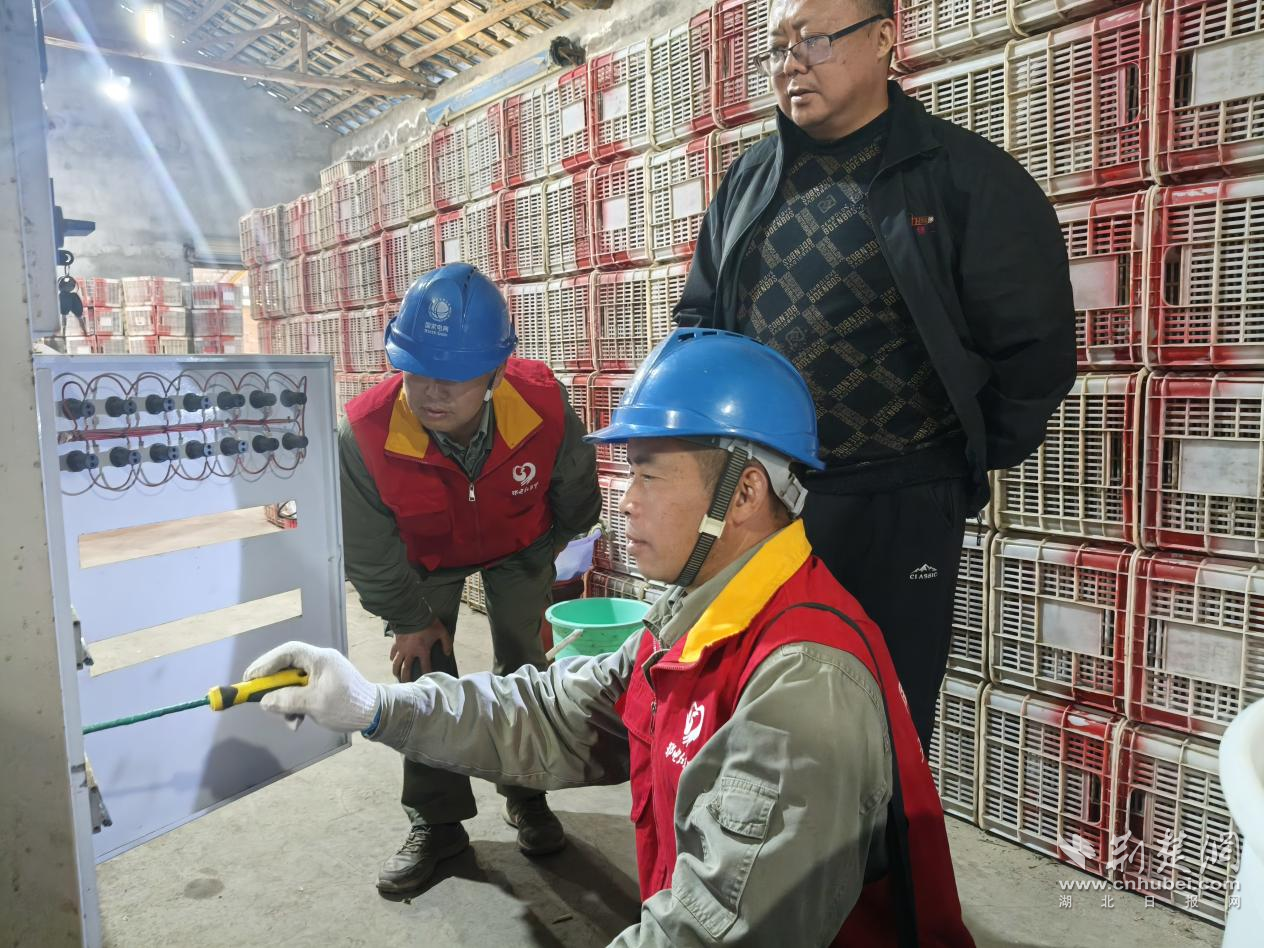 宜都电源：全力陪伴柑