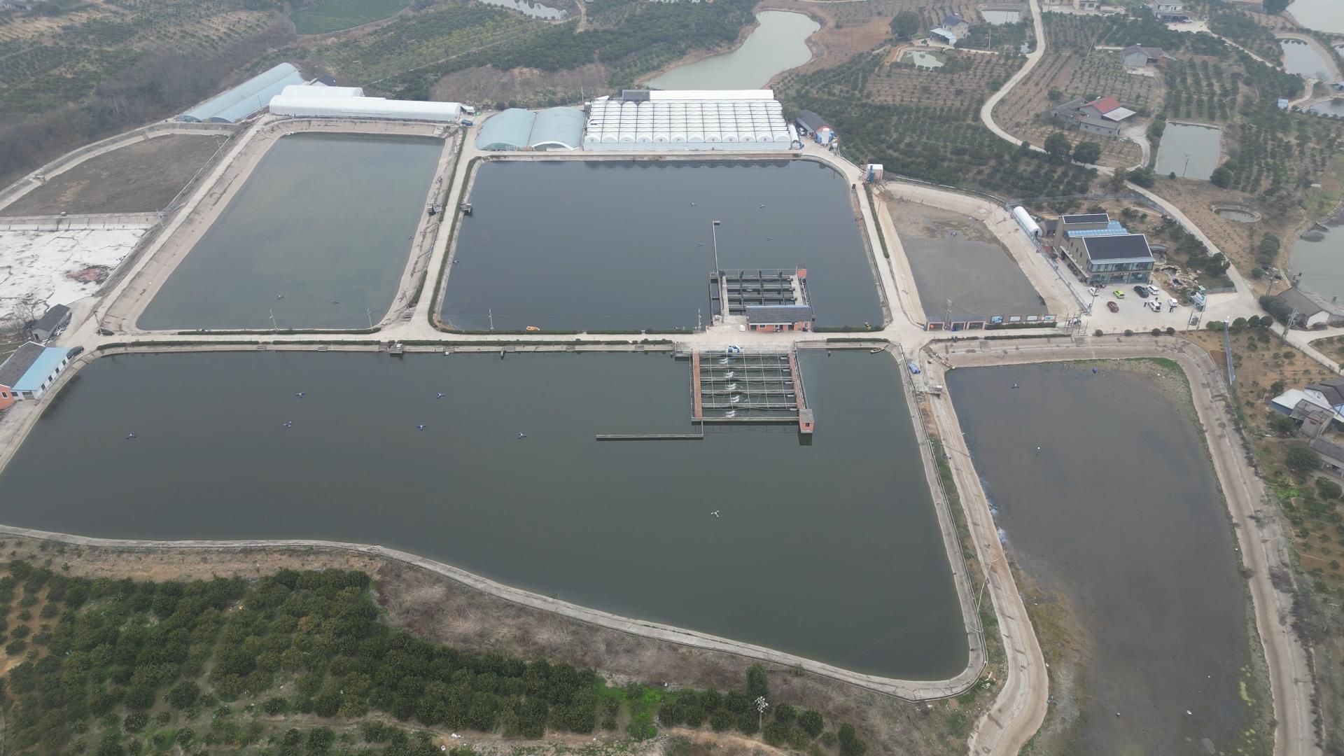 枝江省农业专项保险保障大