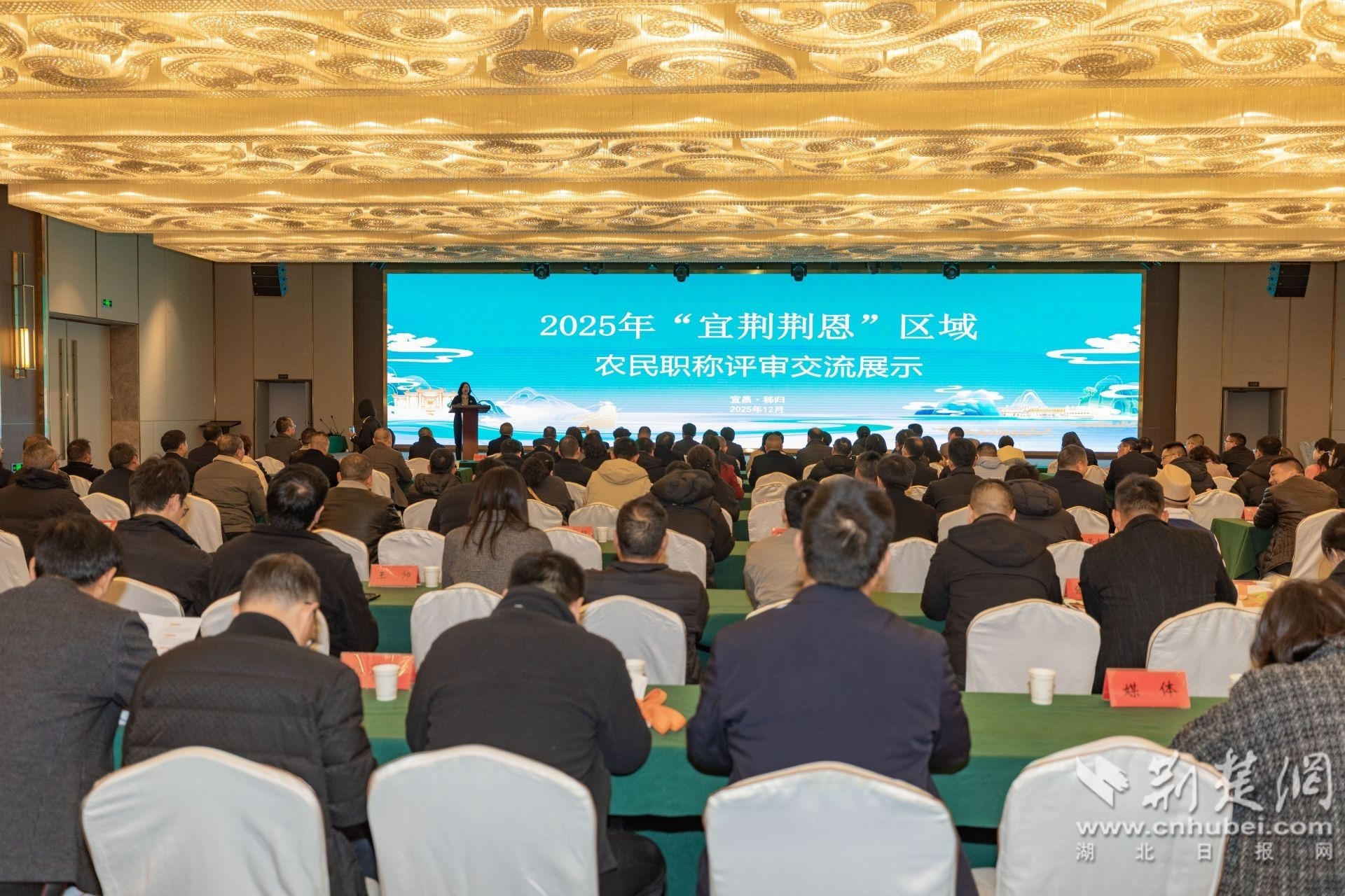 6Z2A0793 拷贝.jpg.jpg