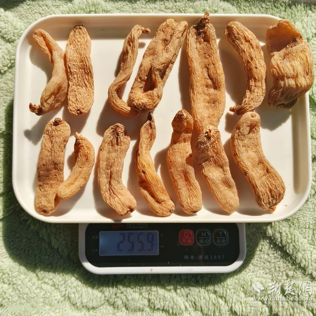 产品图片 (6).jpg.jpg