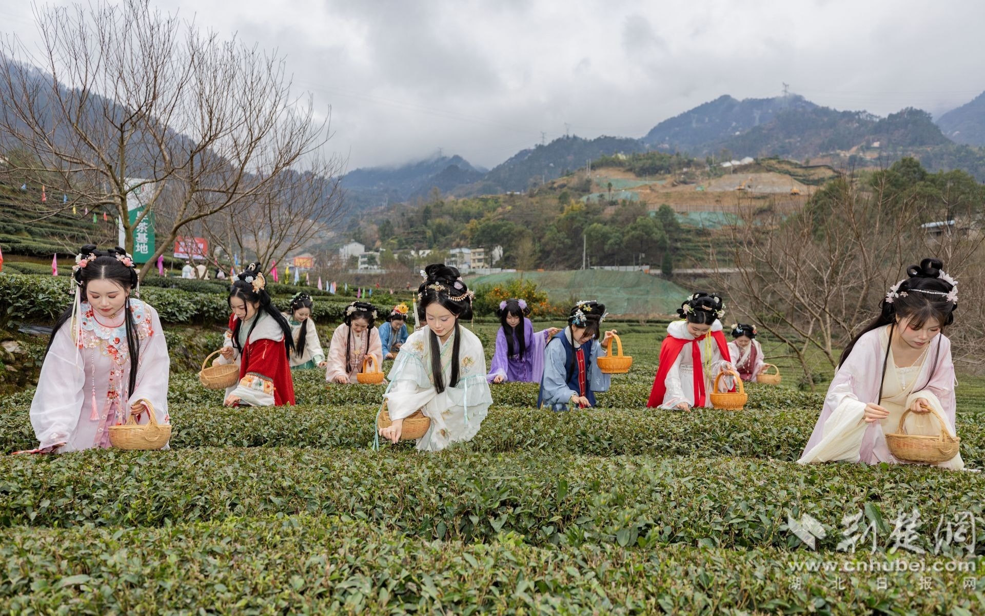 2026年2月27日，在湖北省宜昌市秭归县茅坪镇中坝子村，身着国风服饰的游客正在体验田园采茶。彭强摄 (4).jpg.jpg