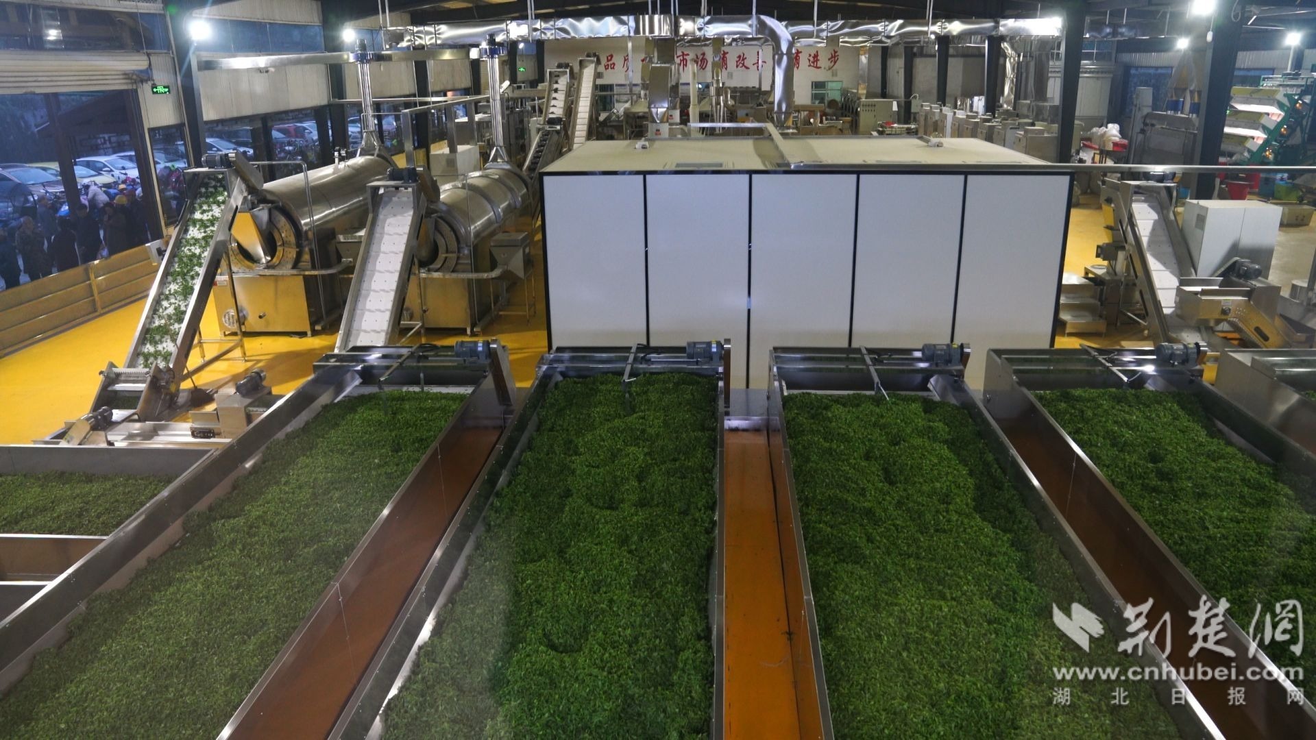 汲明茶业全智能化生产车间.jpg.jpg