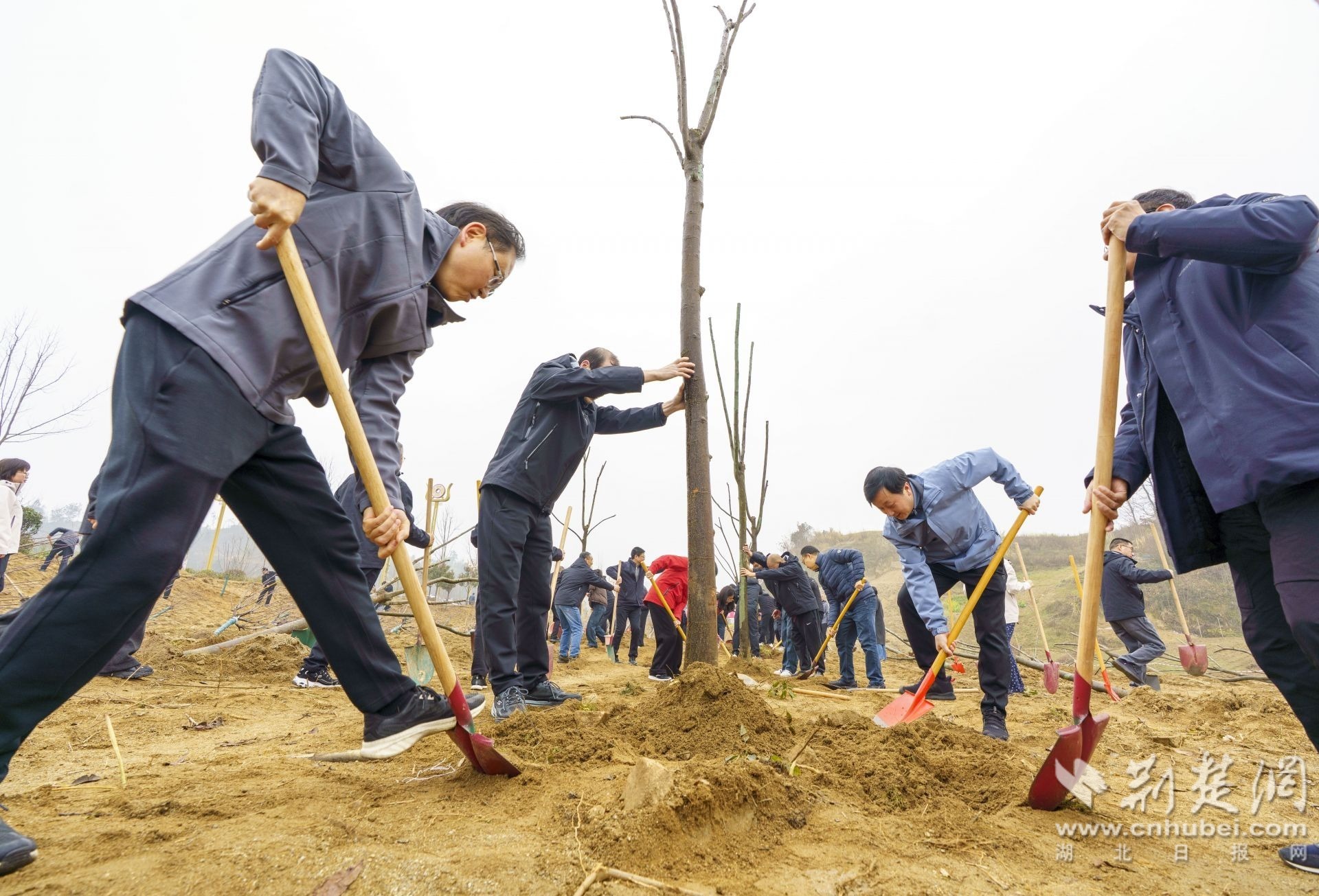 2026年3月10日，湖北省宜昌市秭归县，活动参与者正在植树 (2).JPG.JPG