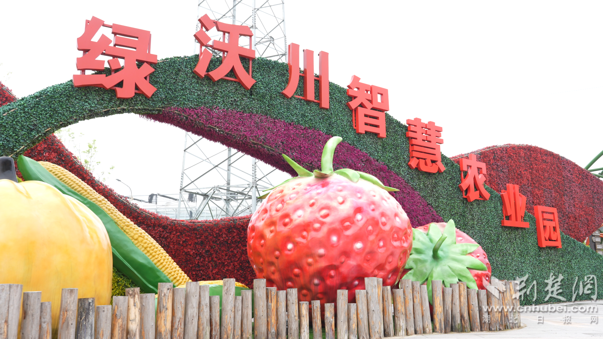 微信图片_20260421145146_358_943.png.png