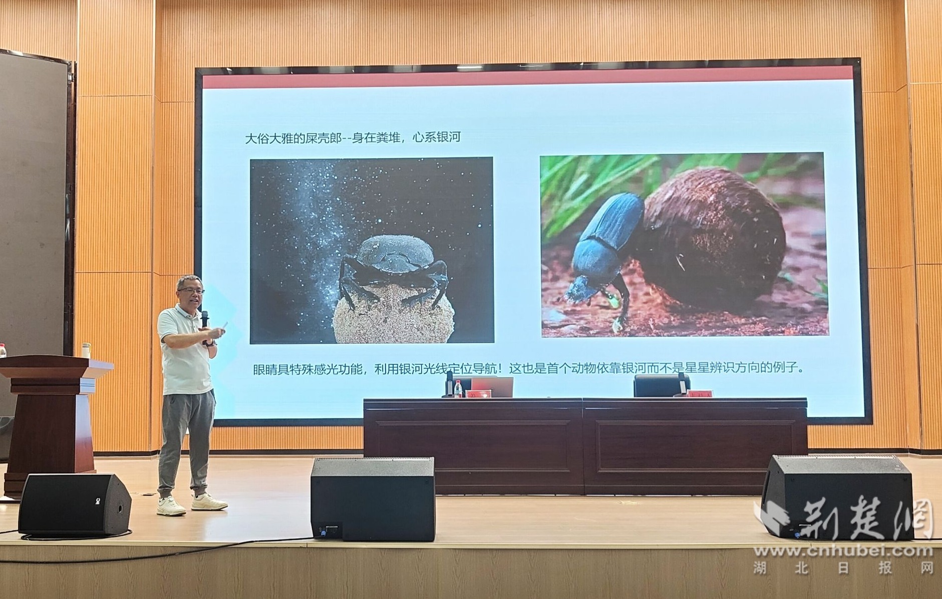 微信图片_20260522171241_10_162.jpg.jpg