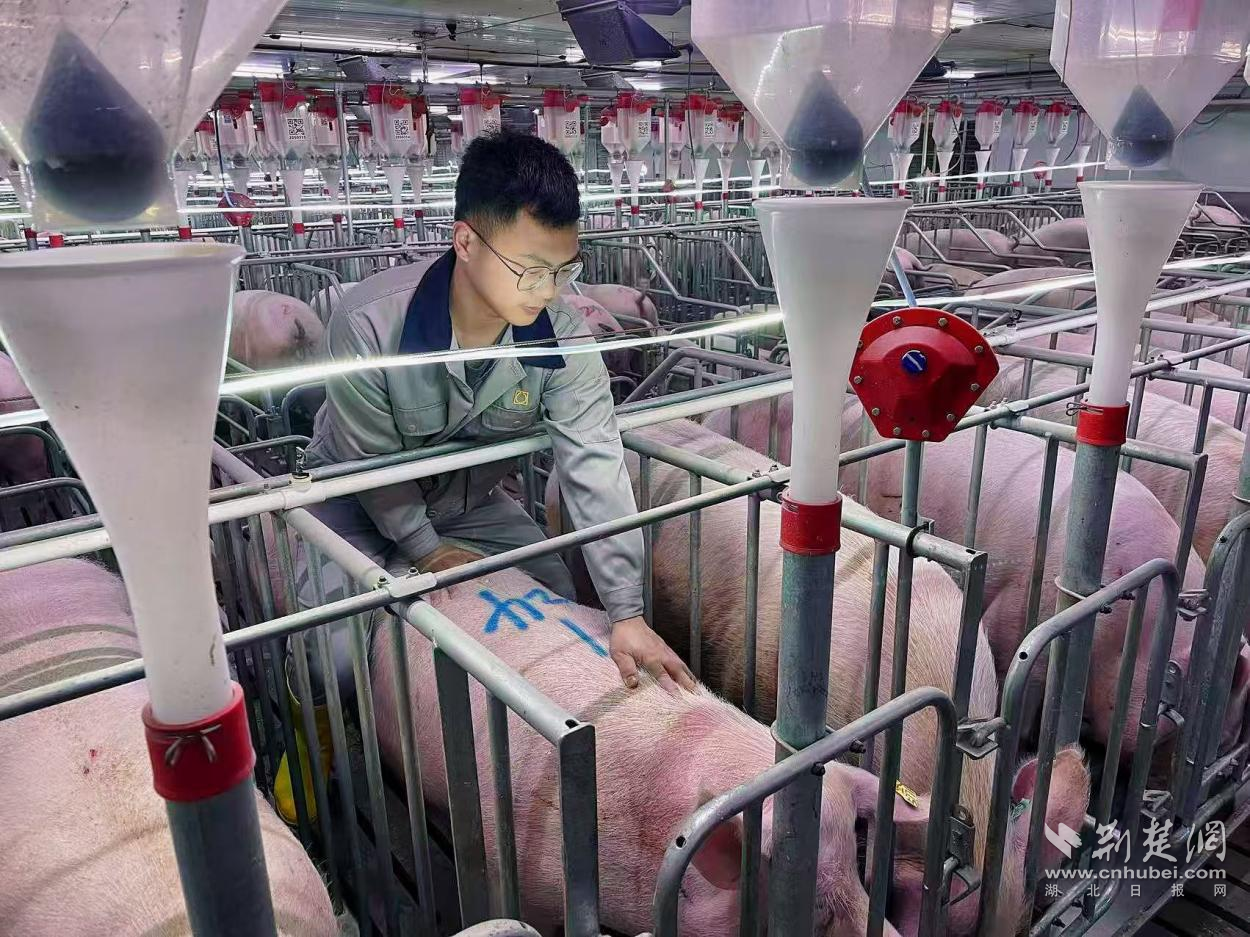 微信图片_20260530160809_113_3.png.png